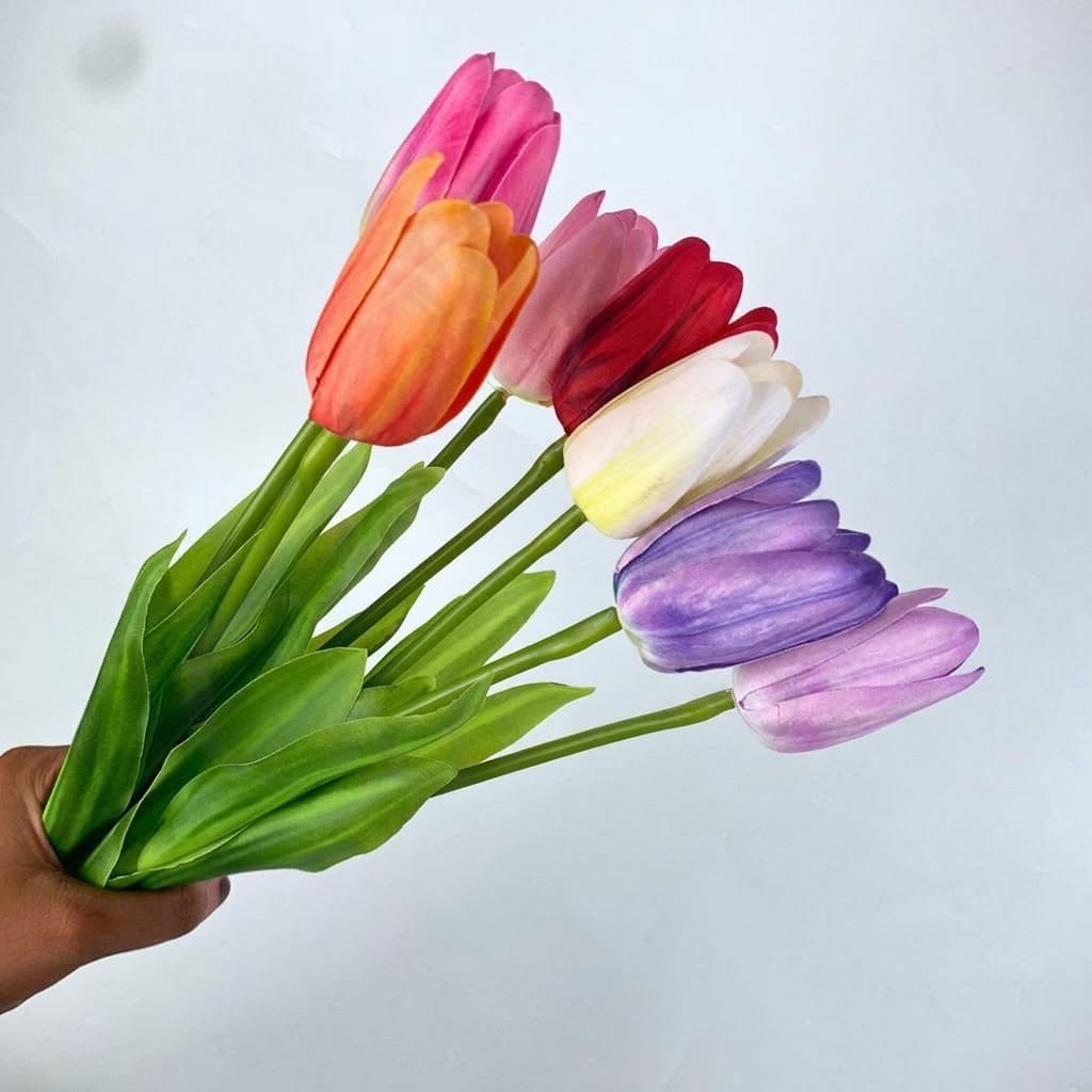  Tulip Latex