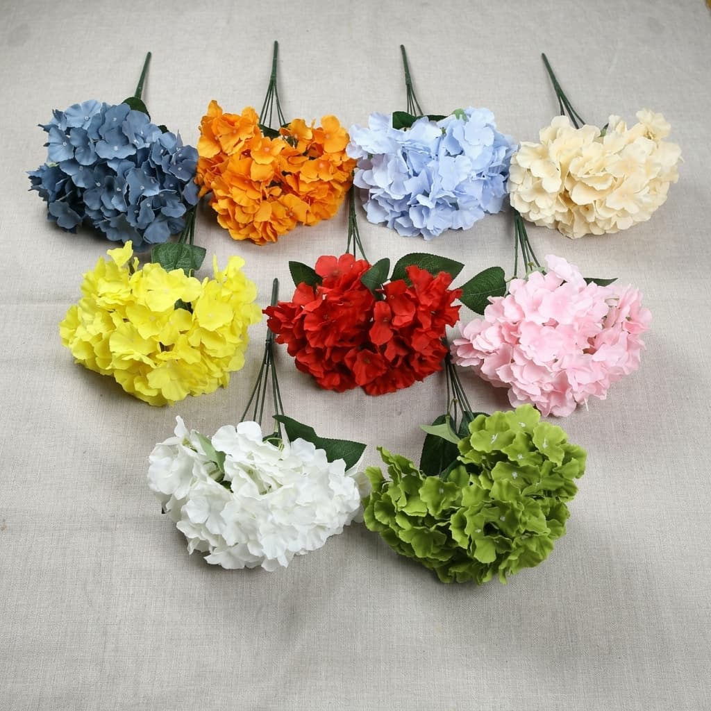 Hortensia Jumbo MV2