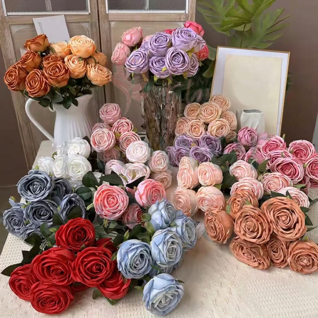 Rose Holland mawar K9