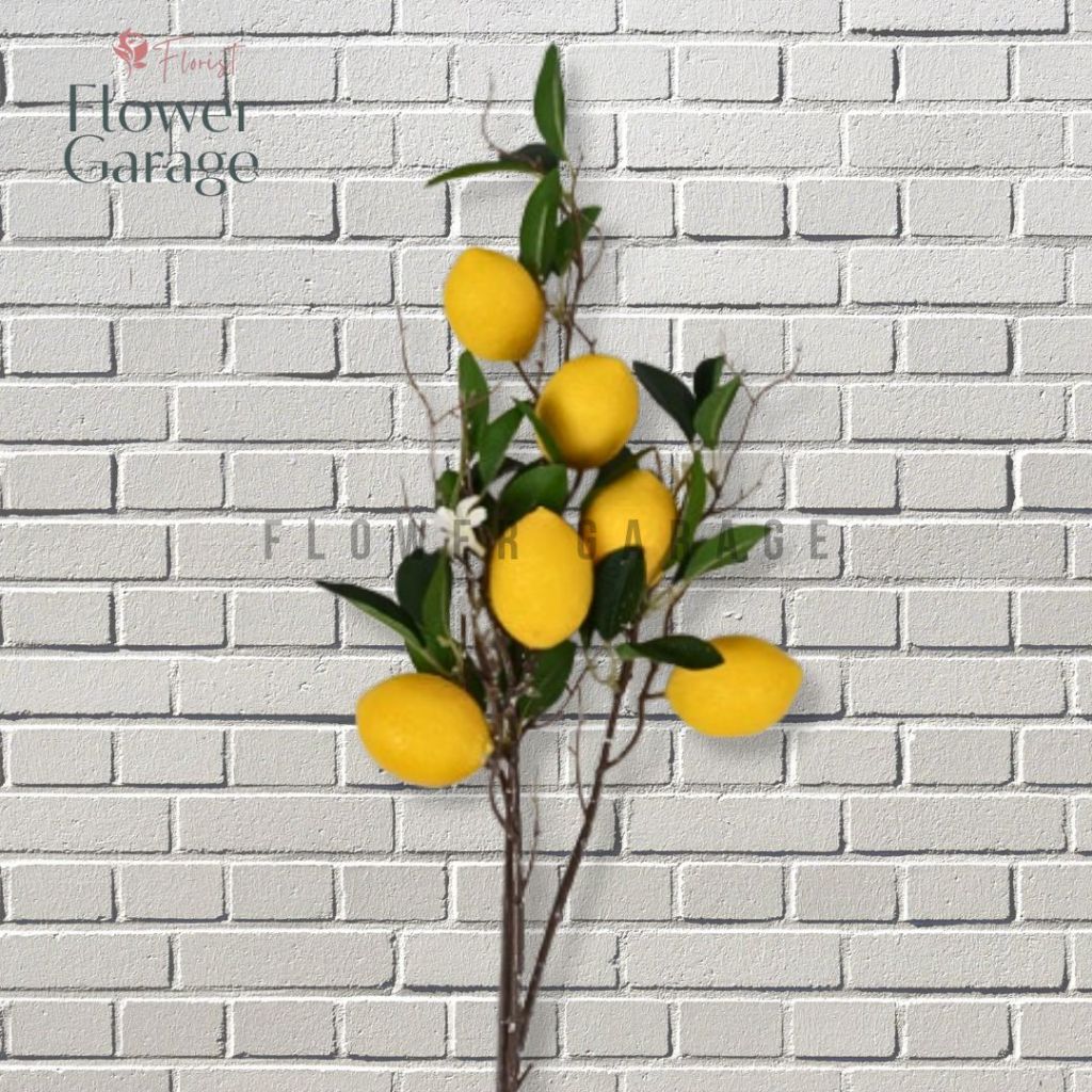 Tangkai Lemon Palsu